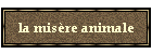 la mis�re animale