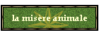 la mis�re animale